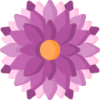 开云体育 logo